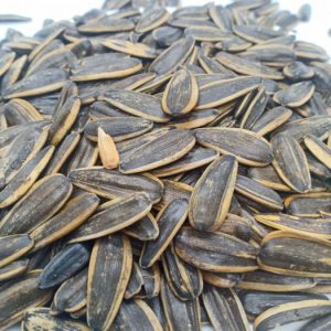 Hạt Hướng Dương Vị Dừa Loại Ngon (NCFOOD)