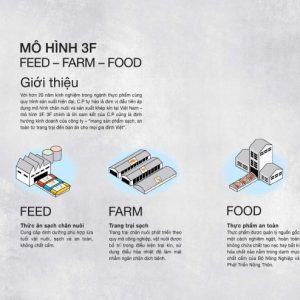 CP Ức gà phile tươi mới mỗi ngày đã lọc sạch da và mỡ - 500g - Tặng kèm công thức chế biến ức gà siêu hấp dẫn