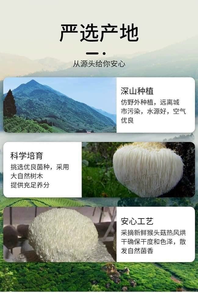 7e0a8662b4a41a1d63d3ecefada5f1db Nấm Đầu Khỉ Hắc Long Giang 200gr