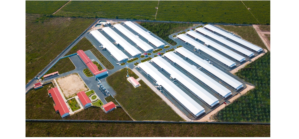 b812469c33c7e251fbde4d0bd3bc1a8b-1 CP Ức gà phile tươi mới mỗi ngày đã lọc sạch da và mỡ - 500g - Tặng kèm công thức chế biến ức gà siêu hấp dẫn