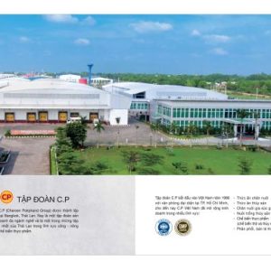 CP Ức gà phile tươi mới mỗi ngày đã lọc sạch da và mỡ - 500g - Tặng kèm công thức chế biến ức gà siêu hấp dẫn