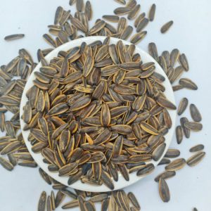 Hạt Hướng Dương Vị Dừa Loại Ngon (NCFOOD)