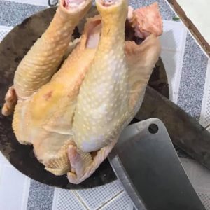 Gà ta thả vườn gà ác gà tre